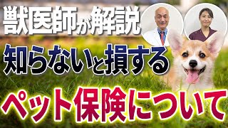 【犬・猫】あなたは加入しなくて大丈夫?現役獣医師が見極め方を徹底解説!【ペット保険/更新/適応】