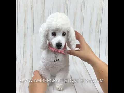 Bichon Dog Crochet pattern by Ambercraftstore