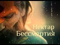 Осведомленность Я есть тоньше, чем пространство - Нисаргадатта Махарадж. Нектар Бессмертия