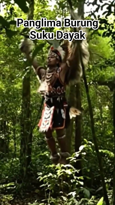 PENAMPAKAN PANGLIMA BURUNG SUKU DAYAK
