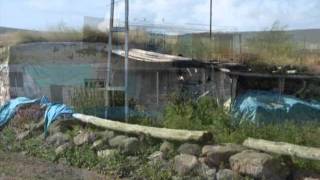 Aşık Şenlik Kasaba Evleri 2. 2011.Avi