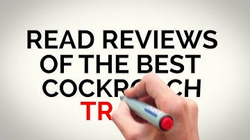 Cockroach Traps Reviewed Online