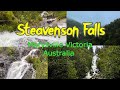 Steavenson falls marysville victoria australia 4k