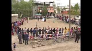 Mirza Demir Okolay Organizasyon Resimi