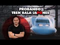 ME SUBO A LA ALTA VELOCIDAD EN JAPÓN: LAS (ENORMES) DIFERENCIAS CON EL AVE ESPAÑOL