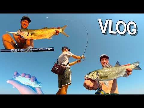 TUTTO IL GIORNO A PESCA IN MARE DA RIVA! Quante SPECIE riuscirò a CATTURARE? Spinning & Ultralight