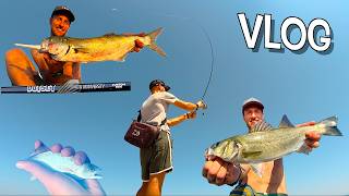 TUTTO IL GIORNO A PESCA IN MARE DA RIVA! Quante SPECIE riuscirò a CATTURARE? Spinning & Ultralight
