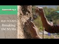 Geeli Mitti: Breaking the myths about mud houses. Why they are more sustainable?