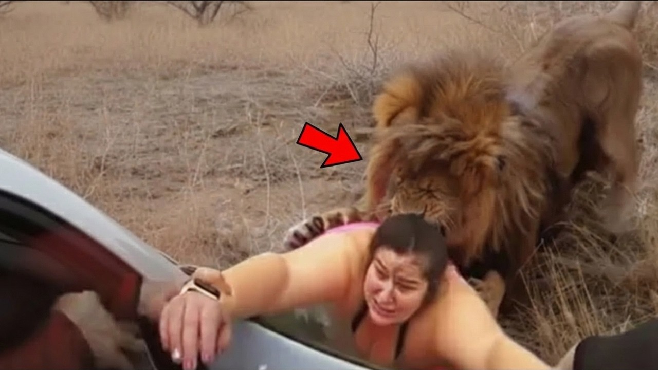 Encuentros Salvajes Que Se Salieron de Control