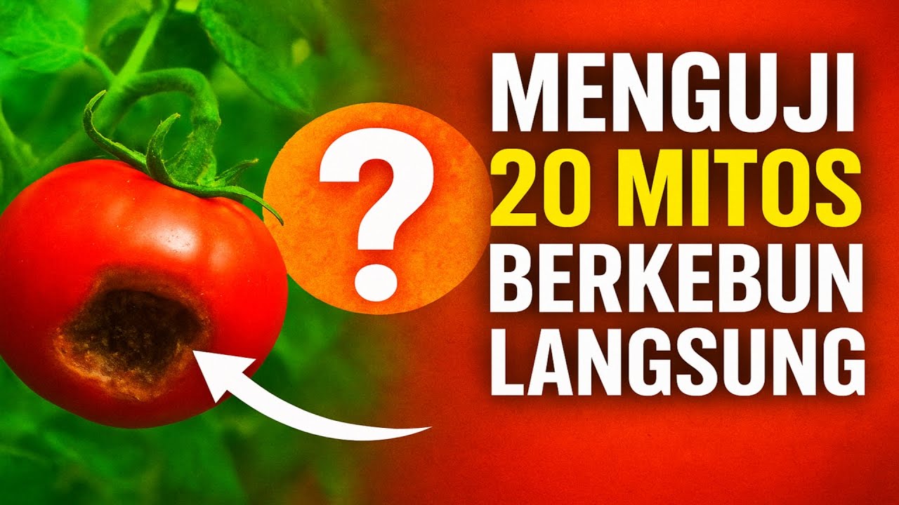 Menguji 20 Mitos Berkebun Langsung. Apa yang sungguh berhasil, dan apa yang justru merusak panen?