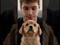 “Every Day This Puppy Waited for His Owner… The Ending Will Break You 💔🐾”#shorts