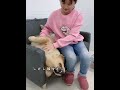 中国一の睡眠の達人・转转 #忘れてはいけない