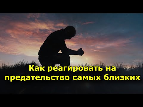 Как реагировать на предательство самых близких. цитата Льва Толстого