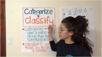 Categorize and Classify