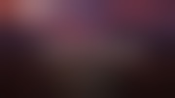 I could only trade items - Rust