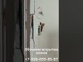 Открыли дверь из дробовика #замки #отмычки #шортс