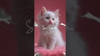 🥰❤️ Thodu vaanam #ThoduVaanam#TamilSongs #LoveSongs#TamilMusic#LoveVibes#TamilStatus#love