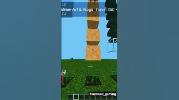 Minecraft Logic #minecraft #logic @Hammad_gaming123