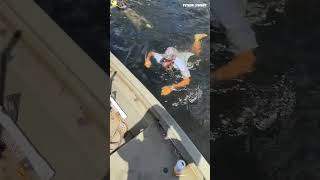 Doing What It Takes Florida Man Style