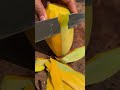 Satisfying Fruit Cutting: Perfectly Ripe Mango