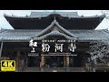 【和み】西国第三番札所・ 粉河寺｜重要文化財｜桜が美しい歴史ある寺院をお楽しみください。／WABISABI（4K映像）