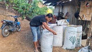 Download Lagu Sebelum Kekebun, Aktivitas Disekitar Rumah, Sambil Masak Tumis Jantung Pisang MP3 Download Lagu Sebelum Kekebun, Aktivitas Disekitar Rumah, Sambil Masak Tumis Jantung Pisang MP3