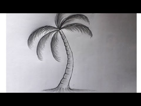 Para sa hindi lang ito marunong gumuhit.. Easy Coconut Tree Drawing Tu... |  TikTok