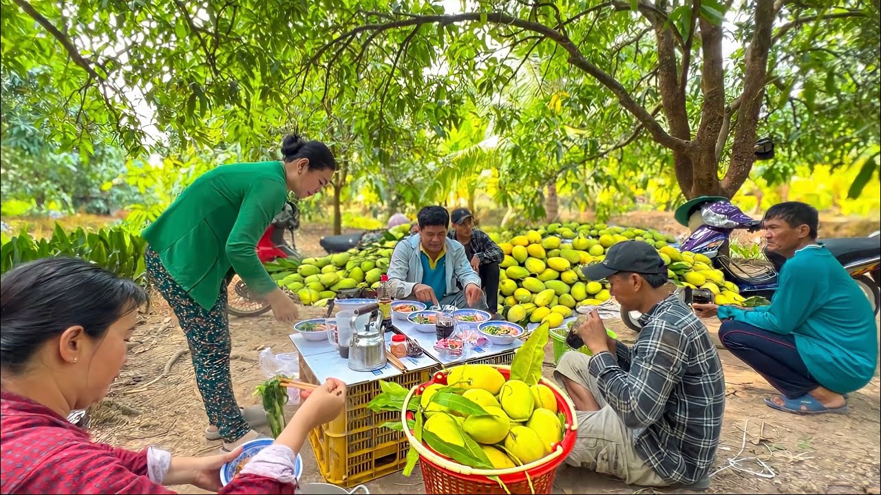 Bác 5 Trai Ra Phụ Thu Hoạch Xoài Thì Gặp Lại Người Yêu Củ | Tập 81
