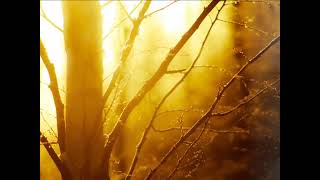 Chinbaa - Hervee Namaig Chuka Чинбаа - Хэрэв Намайг Чука