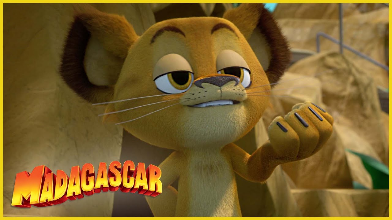 Al león citadino le agrada el zoológico. | DreamWorks Madagascar en ...