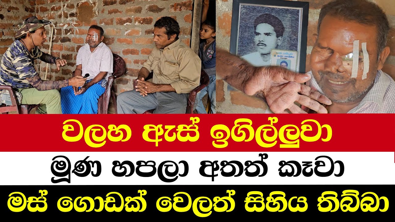 වලහ ඇස් ඉගිල්ලුවා | මූණ හපලා අතත් කෑවා | මස් ගොඩක් වෙලත් සිහිය තිබ්බා