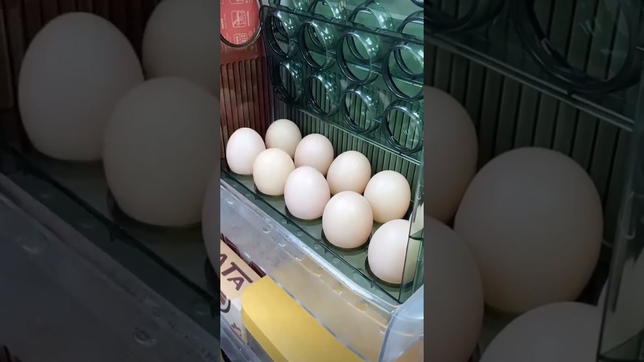 Egg storage rack