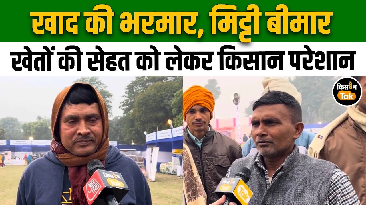 Soil Fertility: Bihar में दिसंबर आते ही धान की खरीद तेज, लेकिन मिट्टी की सेहत को लेकर चिंता 