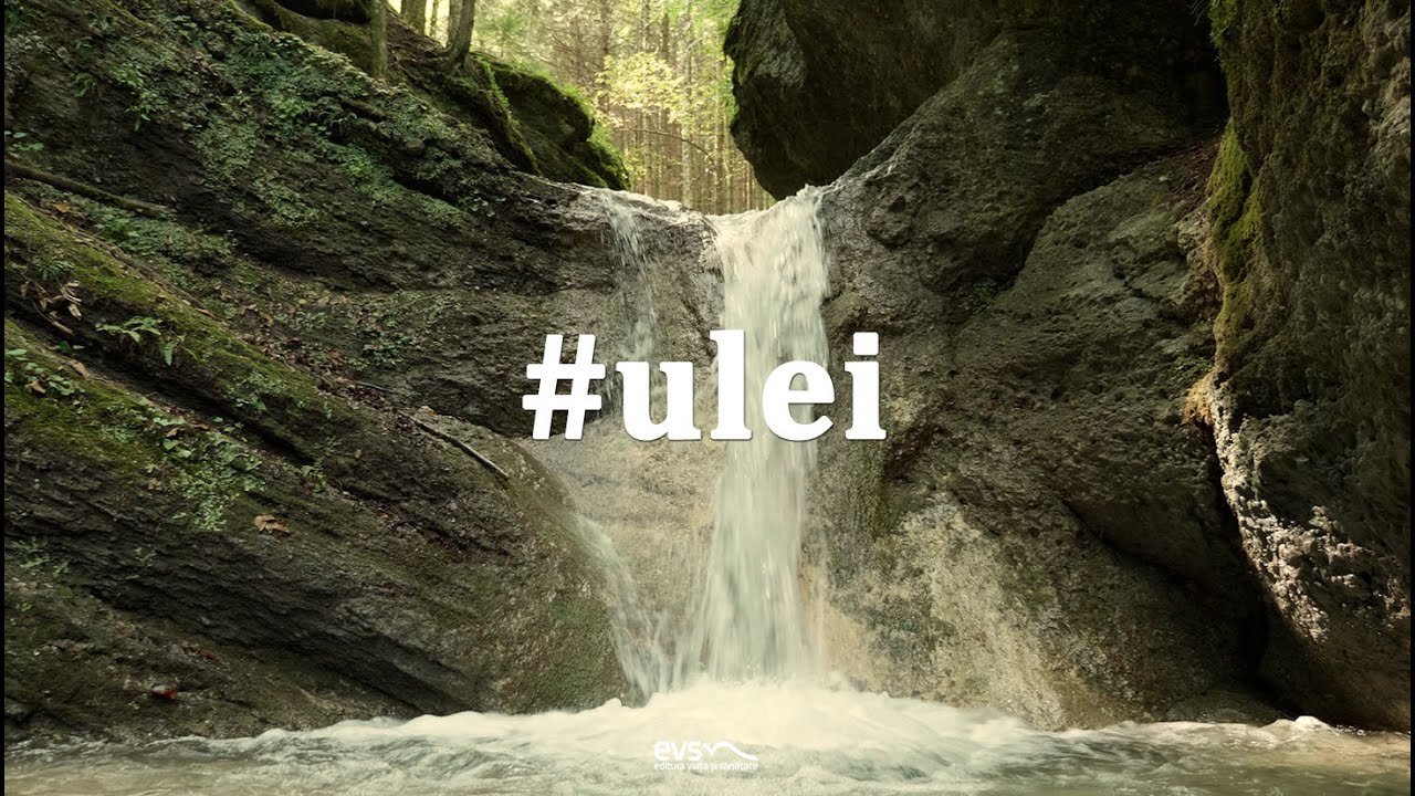 Ulei