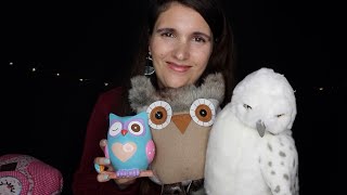 ASMR Show & Tell: My Owl Collection (soft spoken) screenshot 3