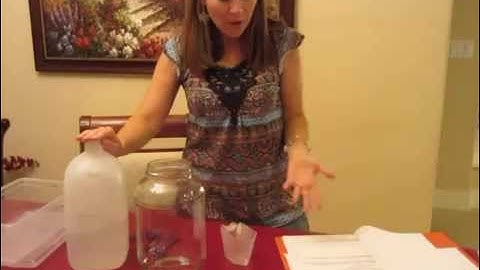 Cycle 1 Week 4 Science Experiment