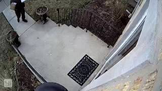 UPS Delivery man throwing packages