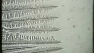Dendritic Solidification