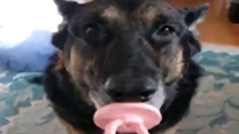 TUGAS VLOG INFORMATIKA