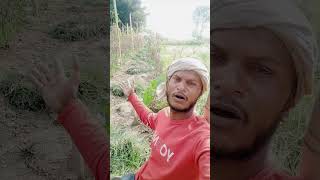 किसान की मेहनत देखा करो #kheti #comedy