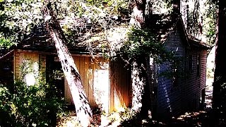 Disturbing Mystery at Keddie Cabin | Unsolved Cold Case | Remote National Forest