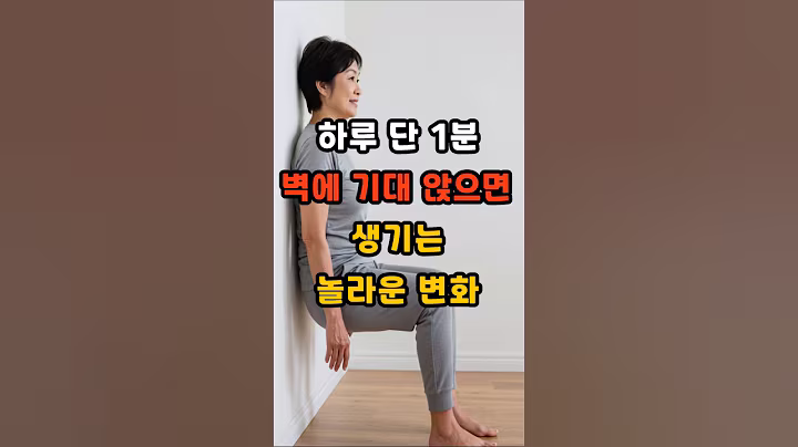 하루 1분, 벽에 기대 앉으면 생기는 놀라운 변화 #건강 #건강정보