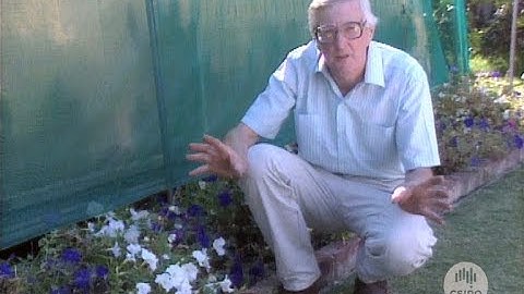 Down to Earth - Episode 12: Soil borne diseases (1990)