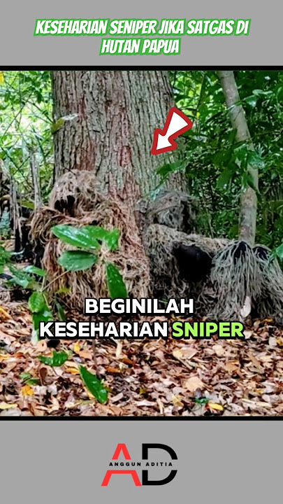 keseharian sniper jika satgas di papua #shorts #tni #viralvideo