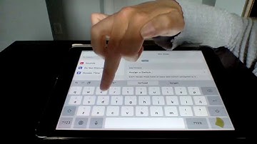Creating a custom gesture in switch controls on the iPad