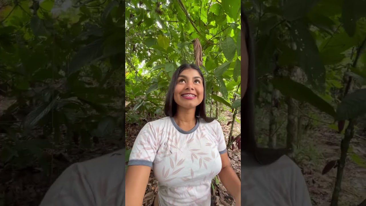 Fui a ver el arbolito de achotillo 🌳❤️