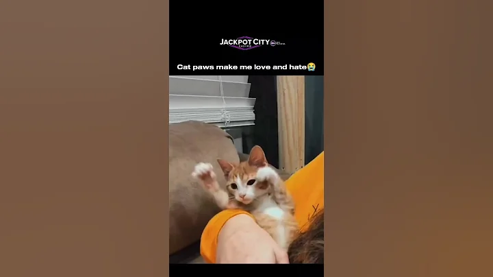 Watch the video about Check it out 🐾 | join the fun at jackpot city #meow #cat #funny #cute #canada #canadapets #shorts