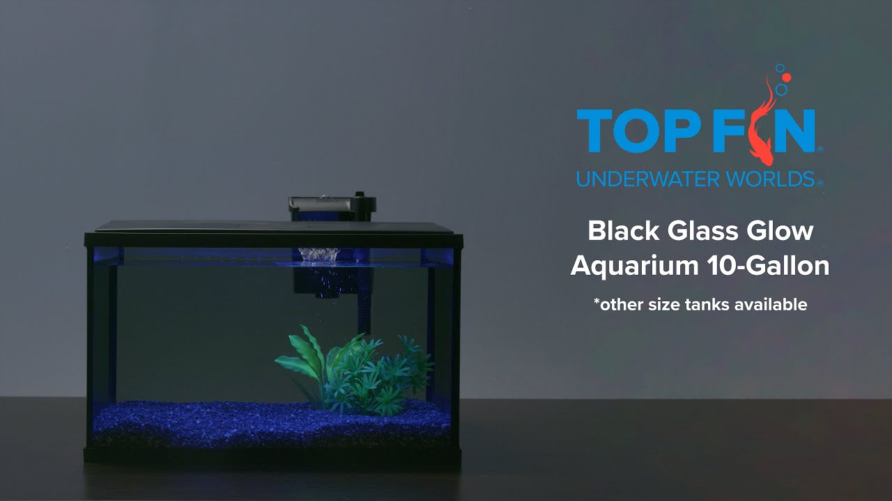 Top Fin LED Black Glass #Aquarium Setup