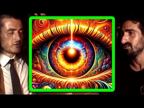 What an Ayahuasca trip is like | Paul Rosolie and Lex Fridman