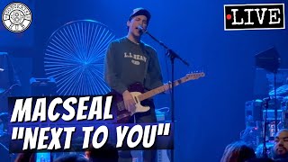 Macseal "Next to You" LIVE